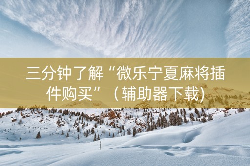 三分钟了解“微乐宁夏麻将插件购买”（辅助器下载)