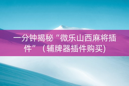 一分钟揭秘“微乐山西麻将插件”（辅牌器插件购买)