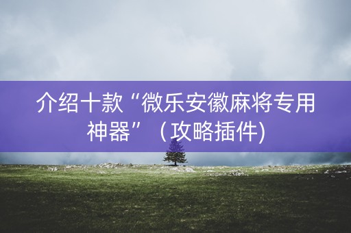 介绍十款“微乐安徽麻将专用神器”（攻略插件)