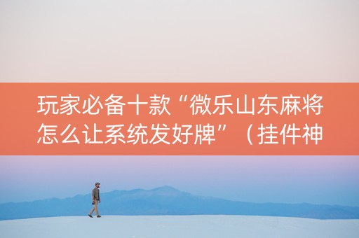 玩家必备十款“微乐山东麻将怎么让系统发好牌”（挂件神器)