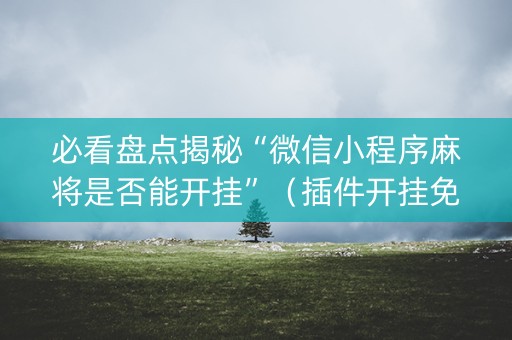 必看盘点揭秘“微信小程序麻将是否能开挂”（插件开挂免费AI)