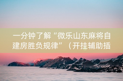 一分钟了解“微乐山东麻将自建房胜负规律”（开挂辅助插件)