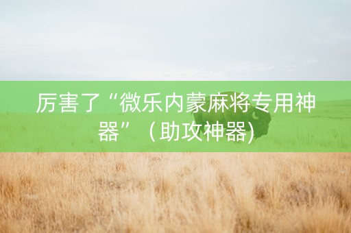厉害了“微乐内蒙麻将专用神器”（助攻神器)