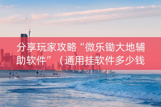 分享玩家攻略“微乐锄大地辅助软件”（通用挂软件多少钱)
