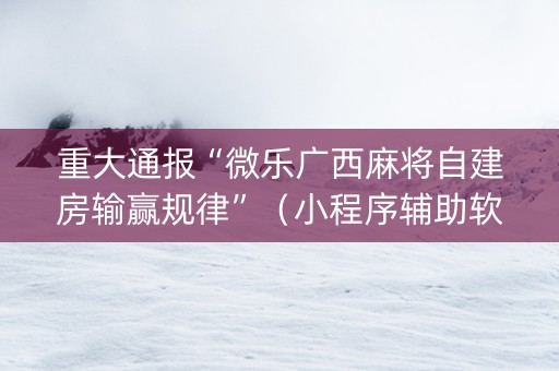 重大通报“微乐广西麻将自建房输赢规律”（小程序辅助软件)