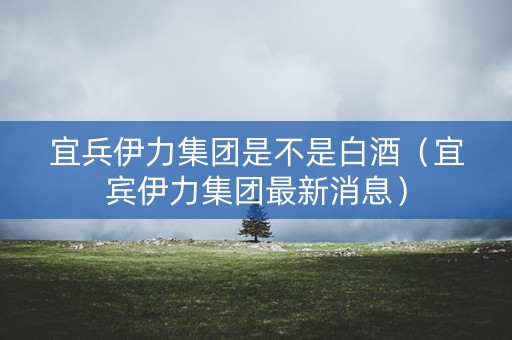 宜兵伊力集团是不是白酒（宜宾伊力集团最新消息）