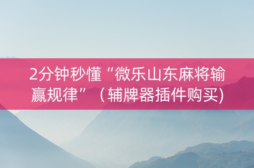 2分钟秒懂“微乐山东麻将输赢规律”（辅牌器插件购买)