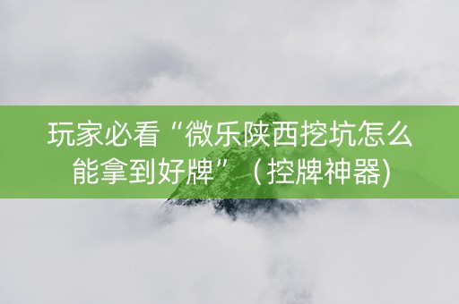 玩家必看“微乐陕西挖坑怎么能拿到好牌”（控牌神器)