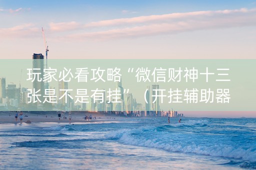 玩家必看攻略“微信财神十三张是不是有挂”（开挂辅助器插件)