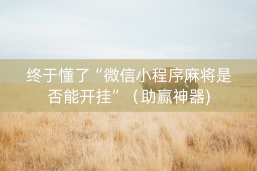 终于懂了“微信小程序麻将是否能开挂”（助赢神器)