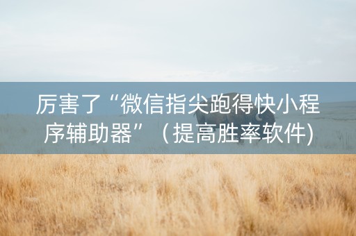厉害了“微信指尖跑得快小程序辅助器”（提高胜率软件)