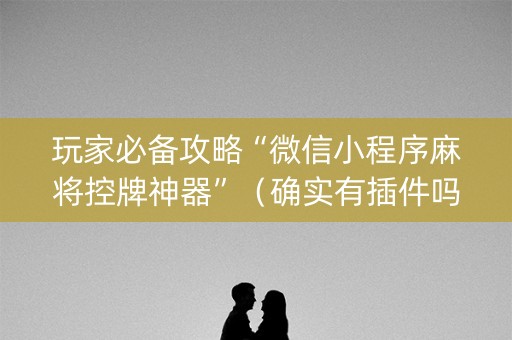 玩家必备攻略“微信小程序麻将控牌神器”（确实有插件吗)