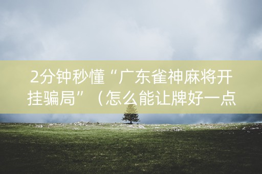 2分钟秒懂“广东雀神麻将开挂骗局”（怎么能让牌好一点)