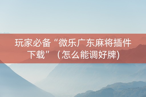 玩家必备“微乐广东麻将插件下载”（怎么能调好牌)