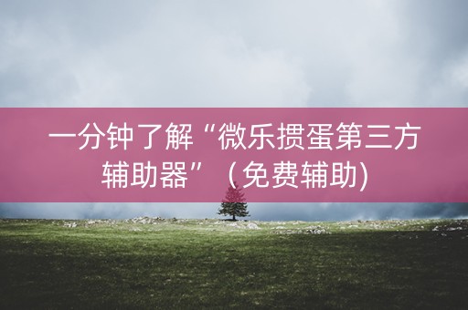 一分钟了解“微乐掼蛋第三方辅助器”（免费辅助)