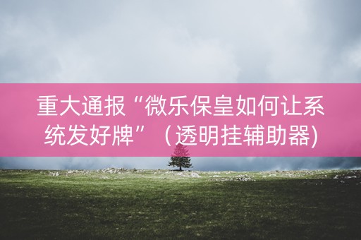 重大通报“微乐保皇如何让系统发好牌”（透明挂辅助器)
