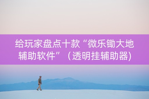 给玩家盘点十款“微乐锄大地辅助软件”（透明挂辅助器)