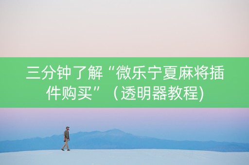 三分钟了解“微乐宁夏麻将插件购买”（透明器教程)