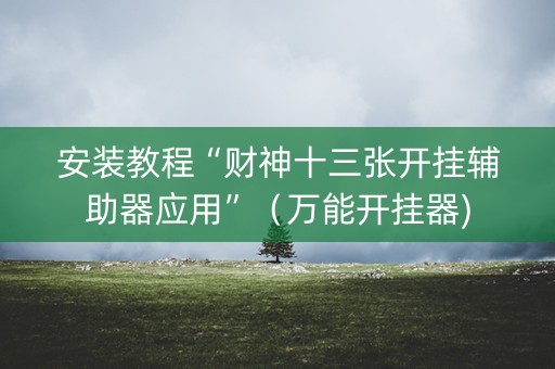 安装教程“财神十三张开挂辅助器应用”（万能开挂器)