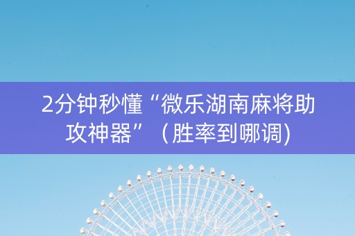 2分钟秒懂“微乐湖南麻将助攻神器”（胜率到哪调)