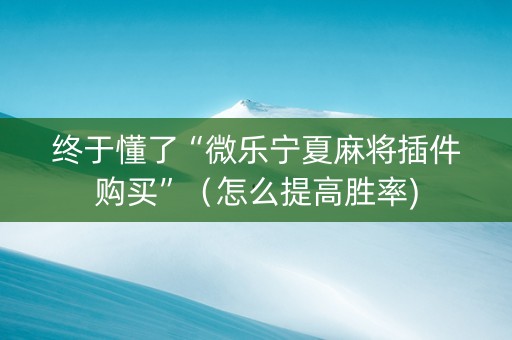 终于懂了“微乐宁夏麻将插件购买”（怎么提高胜率)
