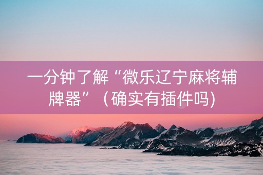 一分钟了解“微乐辽宁麻将辅牌器”（确实有插件吗)