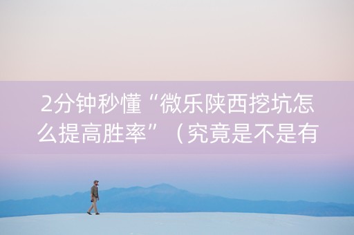 2分钟秒懂“微乐陕西挖坑怎么提高胜率”（究竟是不是有挂)
