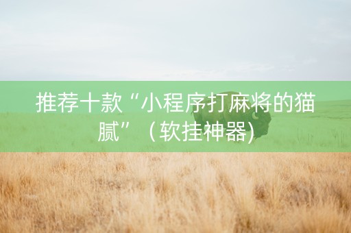 推荐十款“小程序打麻将的猫腻”（软挂神器)