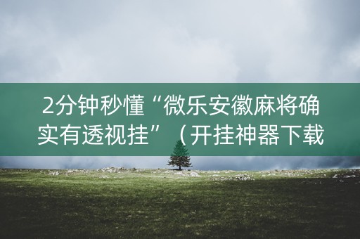 2分钟秒懂“微乐安徽麻将确实有透视挂”（开挂神器下载)