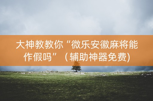大神教教你“微乐安徽麻将能作假吗”（辅助神器免费)