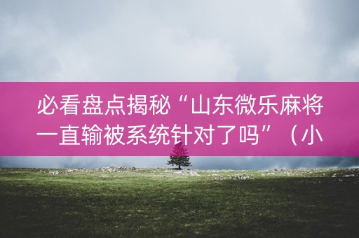必看盘点揭秘“山东微乐麻将一直输被系统针对了吗”（小程序控牌器)