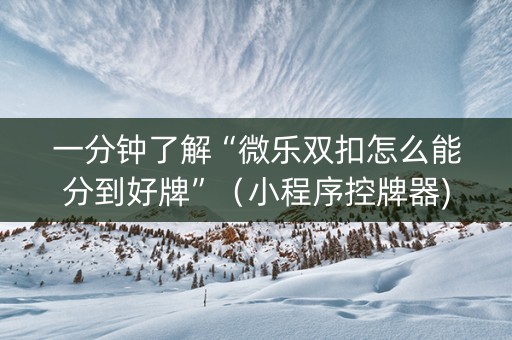 一分钟了解“微乐双扣怎么能分到好牌”（小程序控牌器)