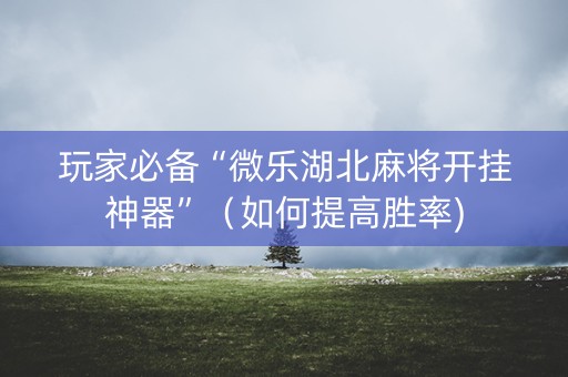 玩家必备“微乐湖北麻将开挂神器”（如何提高胜率)