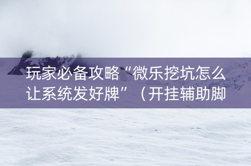 玩家必备攻略“微乐挖坑怎么让系统发好牌”（开挂辅助脚本)