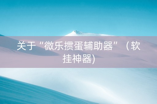 关于“微乐掼蛋辅助器”（软挂神器)