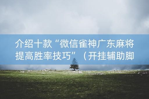 介绍十款“微信雀神广东麻将提高胜率技巧”（开挂辅助脚本)
