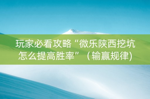 玩家必看攻略“微乐陕西挖坑怎么提高胜率”（输赢规律)
