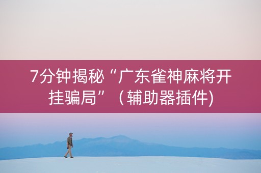 7分钟揭秘“广东雀神麻将开挂骗局”（辅助器插件)