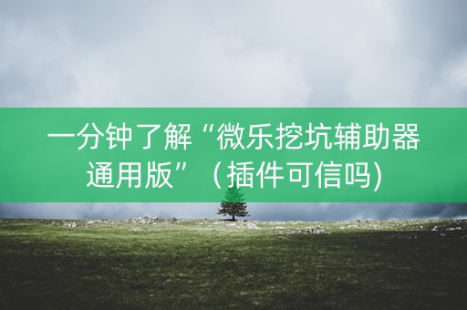一分钟了解“微乐挖坑辅助器通用版”（插件可信吗)