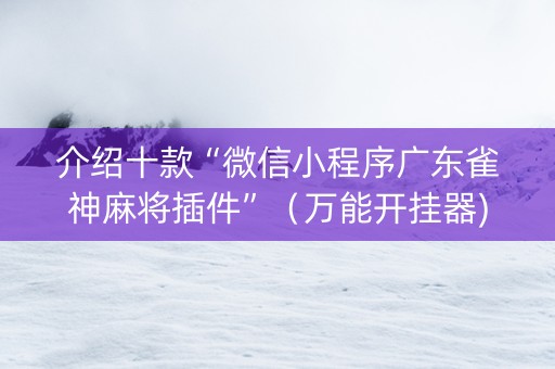 介绍十款“微信小程序广东雀神麻将插件”（万能开挂器)