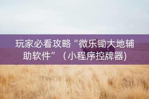 玩家必看攻略“微乐锄大地辅助软件”（小程序控牌器)