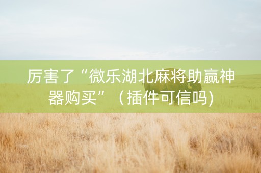 厉害了“微乐湖北麻将助赢神器购买”（插件可信吗)