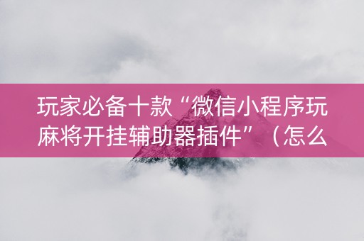 玩家必备十款“微信小程序玩麻将开挂辅助器插件”（怎么增加胜率)