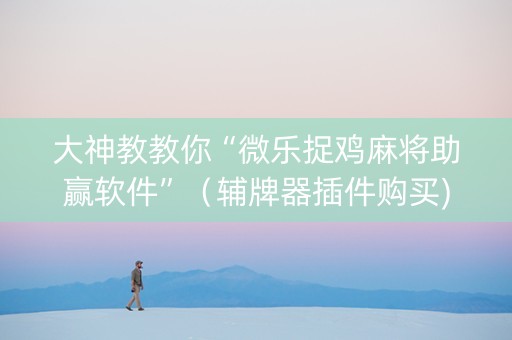 大神教教你“微乐捉鸡麻将助赢软件”（辅牌器插件购买)