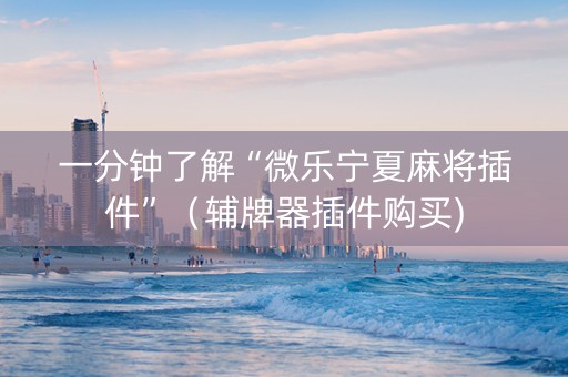 一分钟了解“微乐宁夏麻将插件”（辅牌器插件购买)