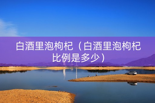 白酒里泡枸杞（白酒里泡枸杞比例是多少）