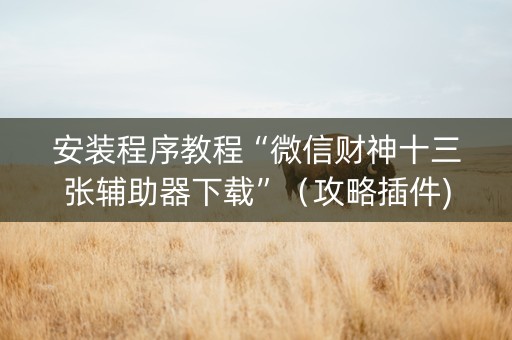 安装程序教程“微信财神十三张辅助器下载”（攻略插件)