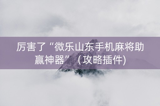 厉害了“微乐山东手机麻将助赢神器”（攻略插件)