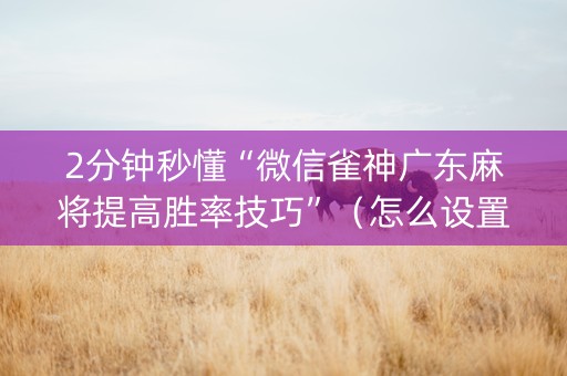 2分钟秒懂“微信雀神广东麻将提高胜率技巧”（怎么设置能有好牌)