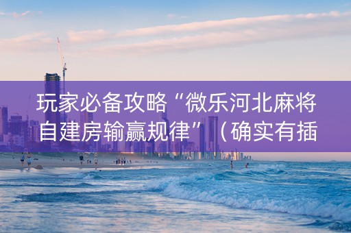 玩家必备攻略“微乐河北麻将自建房输赢规律”（确实有插件吗)